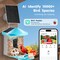 Blue Solar Smart Bird Feeder with 2K Camera, 3 Solar Panels and 2L Food Container
